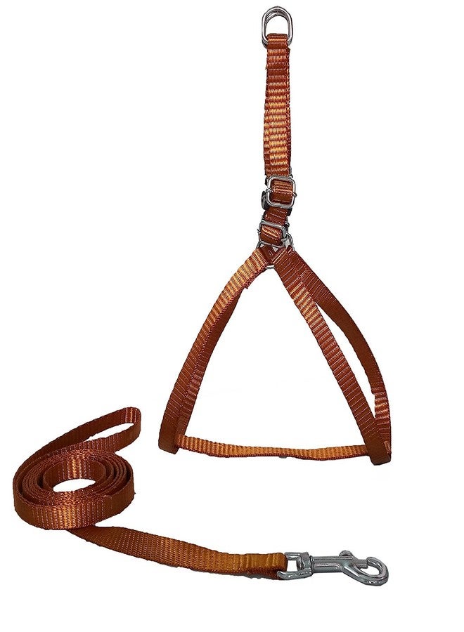 Skora Enjoy a walk with your Dog friend with comfortable & Stylish Skora Adjustable Harness without Padding | Harness: Neck & Rib Girth : Minimum & Maximum (17-22) Inch |Connecting Belt 5.5 Inch | Width of Harness : 0.5 Inch | For Very Small Size Dogs & Puppies |